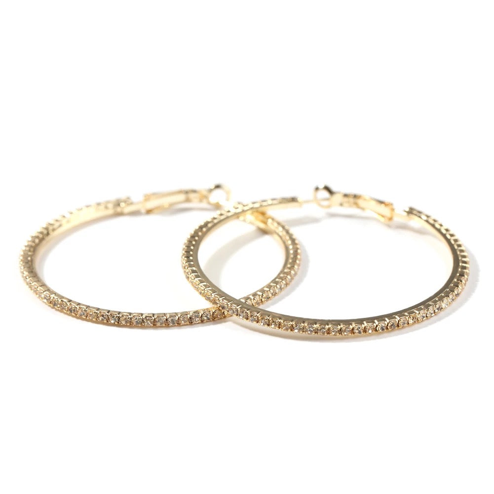 Iced Out Hoops